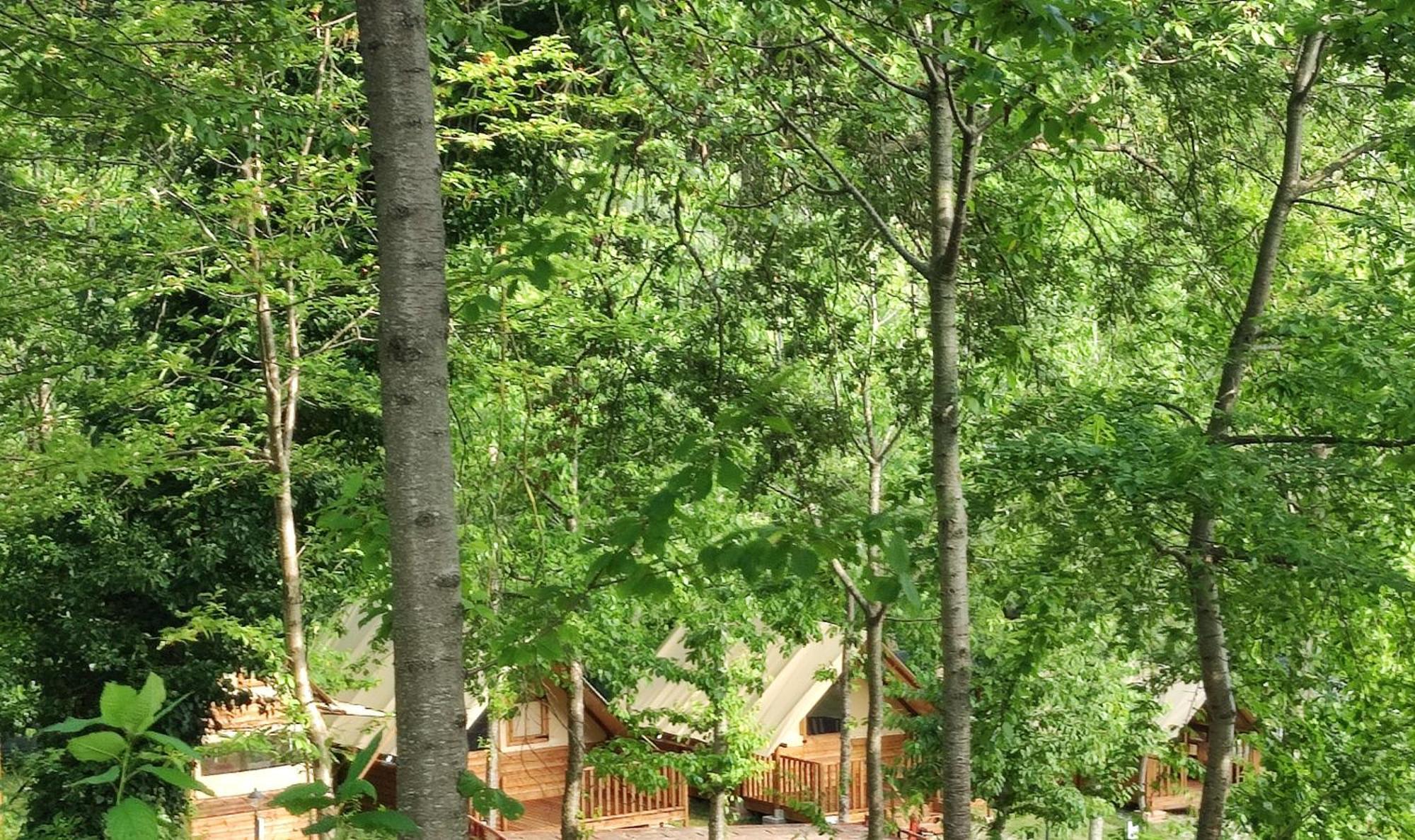 Saecula Natural Village Experience Force Exterior foto